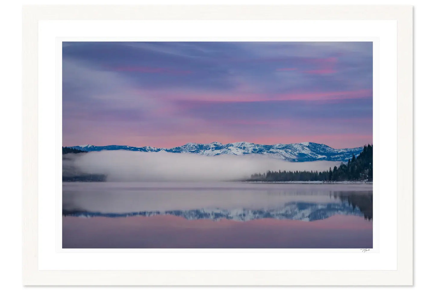 Donner Dusk - Tommy Joyce