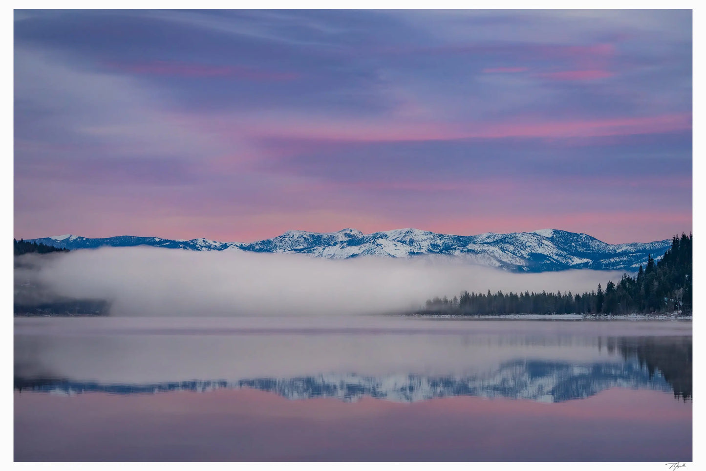 Donner Dusk - Tommy Joyce