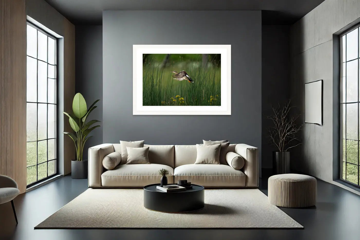 Gadwall Gone - Tommy Joyce