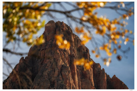 Zion Autumn - Tommy Joyce