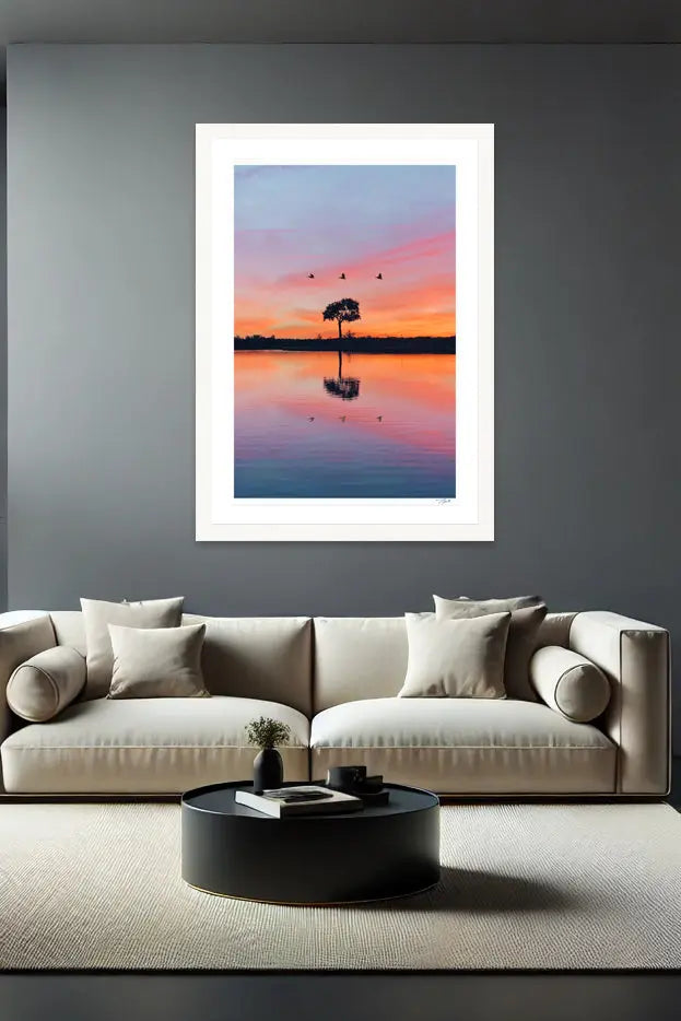 Florida Acacia - Tommy Joyce