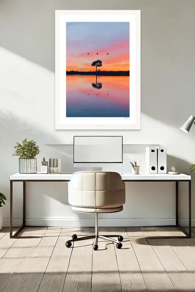 Florida Acacia - Tommy Joyce