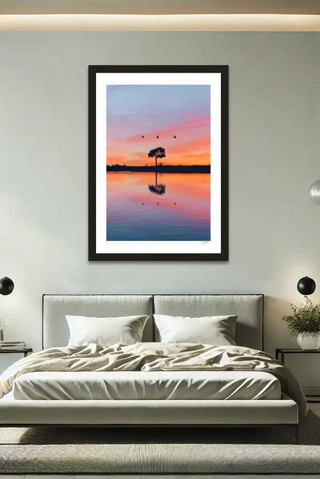 Florida Acacia - Tommy Joyce