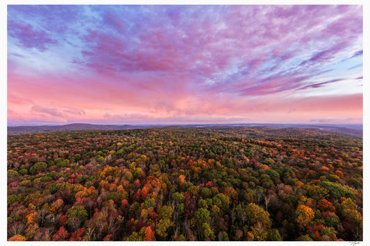 Fall canopy from above, turning color