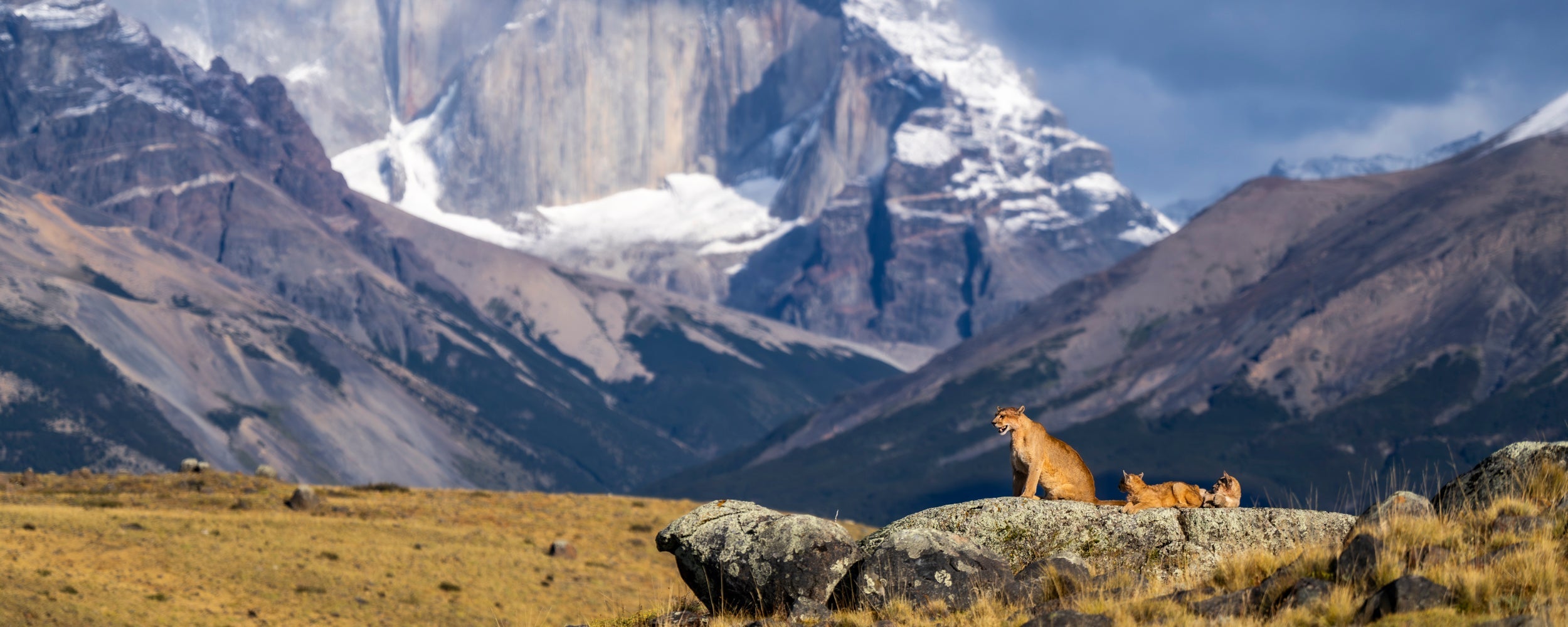 South America