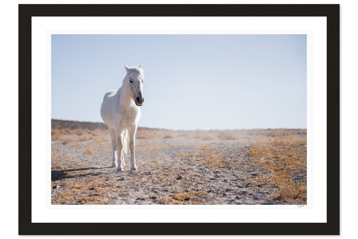 White Horse