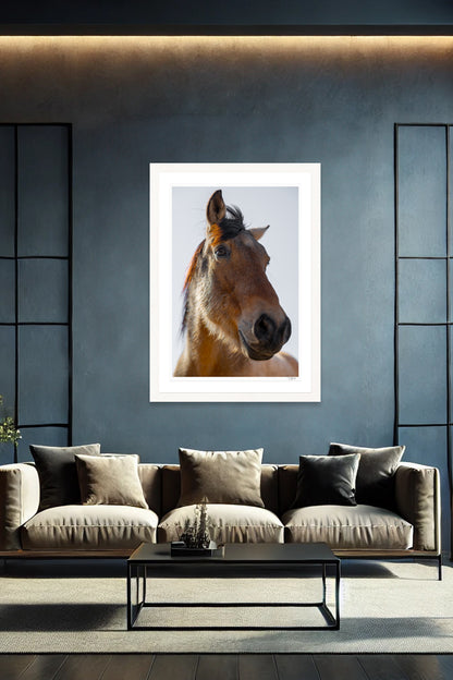 Wild Mustang