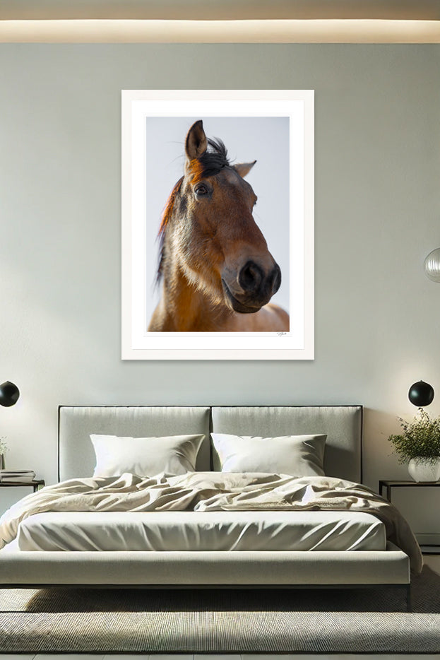 Wild Mustang