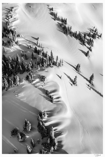 Windswept Winter