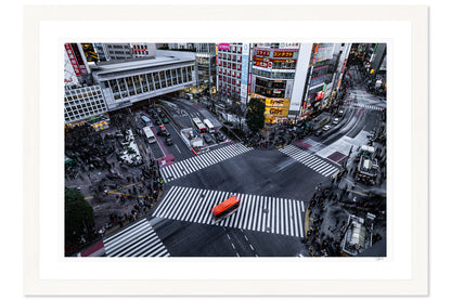 Shibuya Crossing