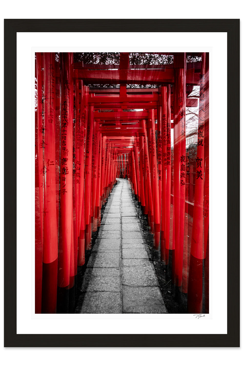 Torii Gates