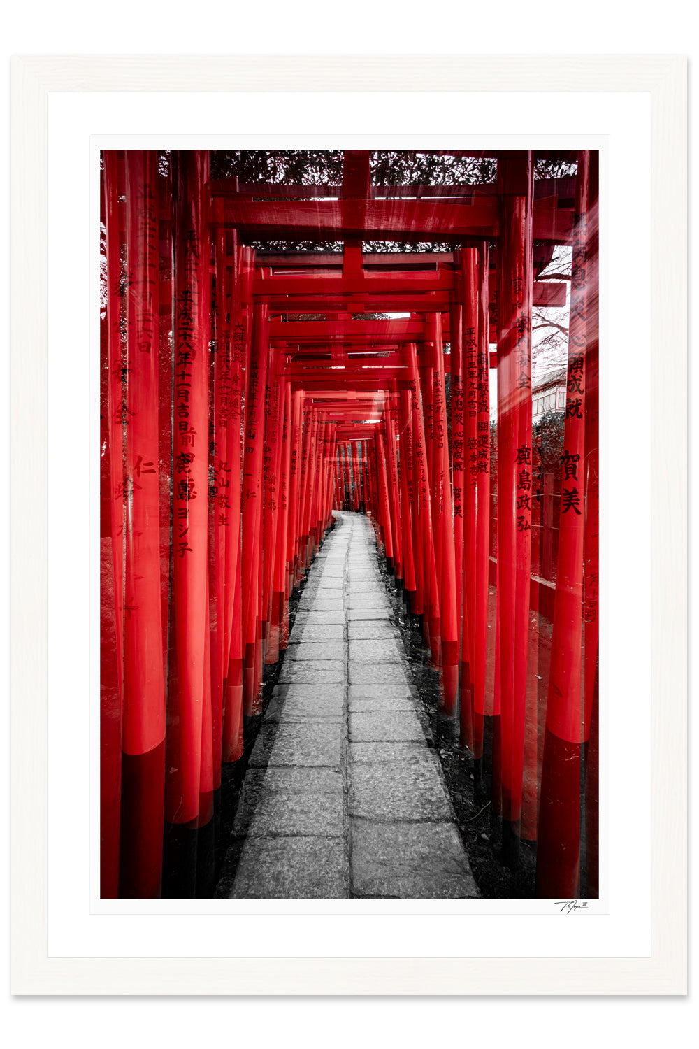 Torii Gates