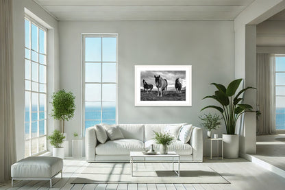 Patagonian Stallions