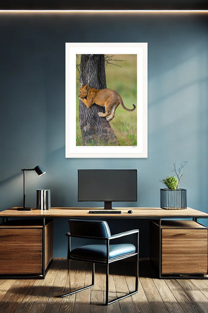 Cub Climbing