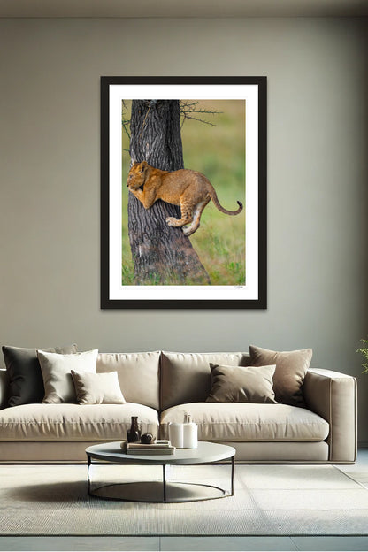 Cub Climbing