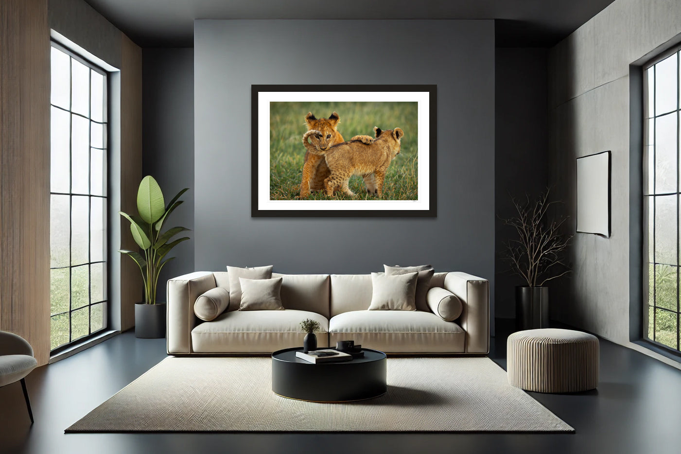 Lion Cub Curl