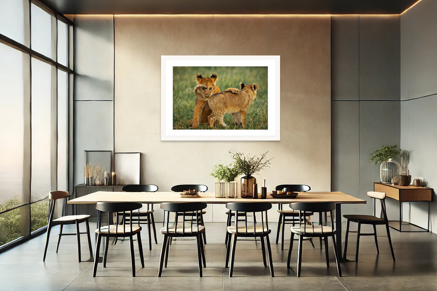 Lion Cub Curl