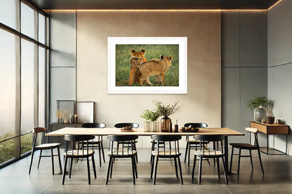 Lion Cub Curl