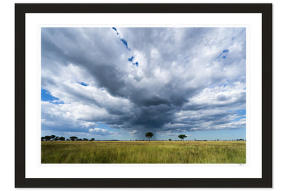 Serengeti Storm