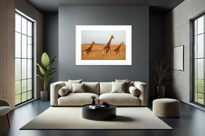 Golden Giraffes