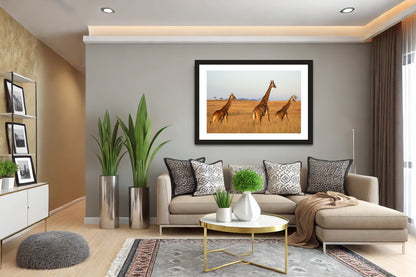Golden Giraffes