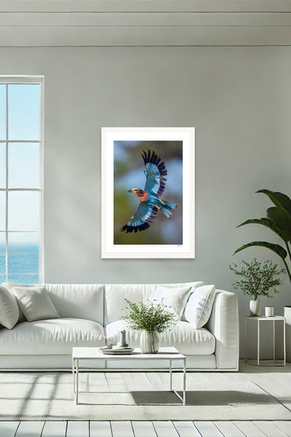Roller Wings