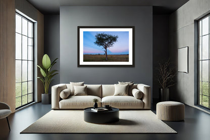 Serengeti Acacia