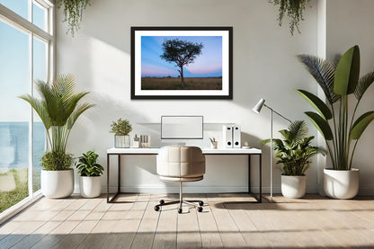 Serengeti Acacia