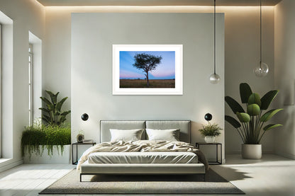 Serengeti Acacia