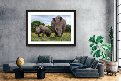 Maternal Rhino