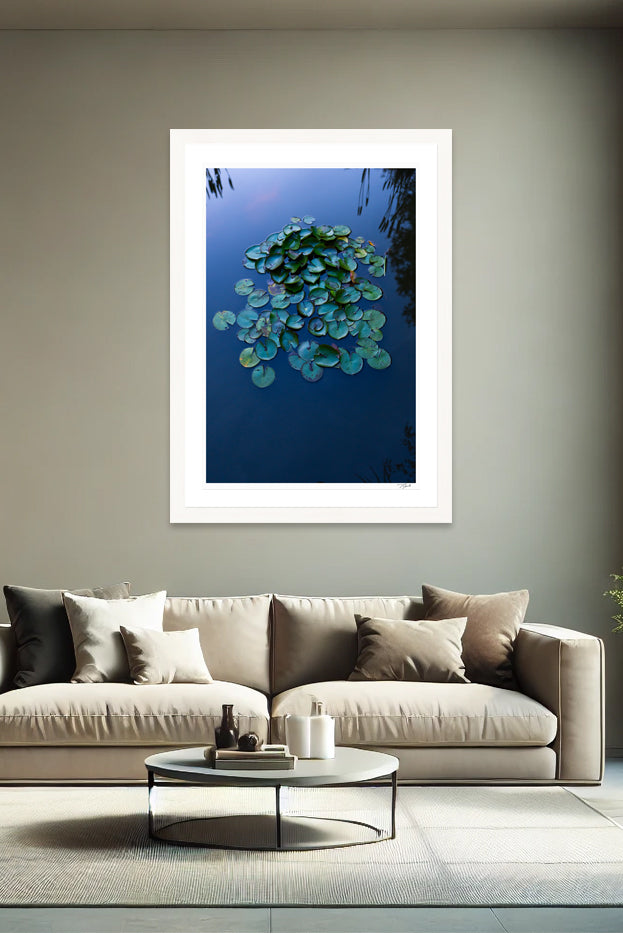 Lily Pads