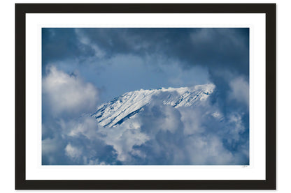 Shy Mountain