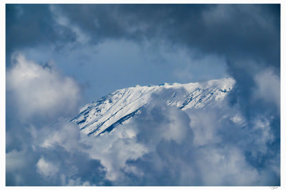 Shy Mountain