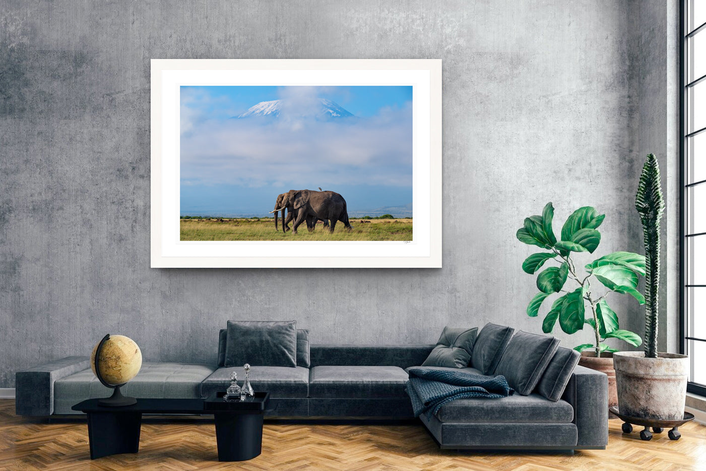 Kilimanjaro Elephants