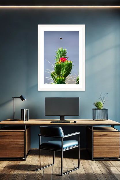 Cholla Nectar
