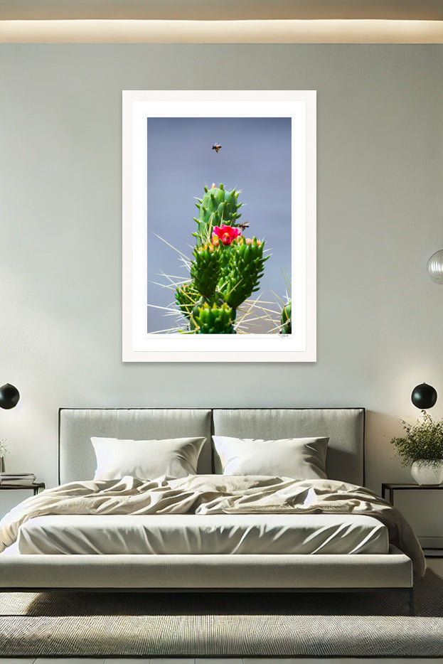 Cholla Nectar