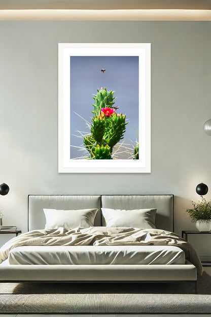Cholla Nectar