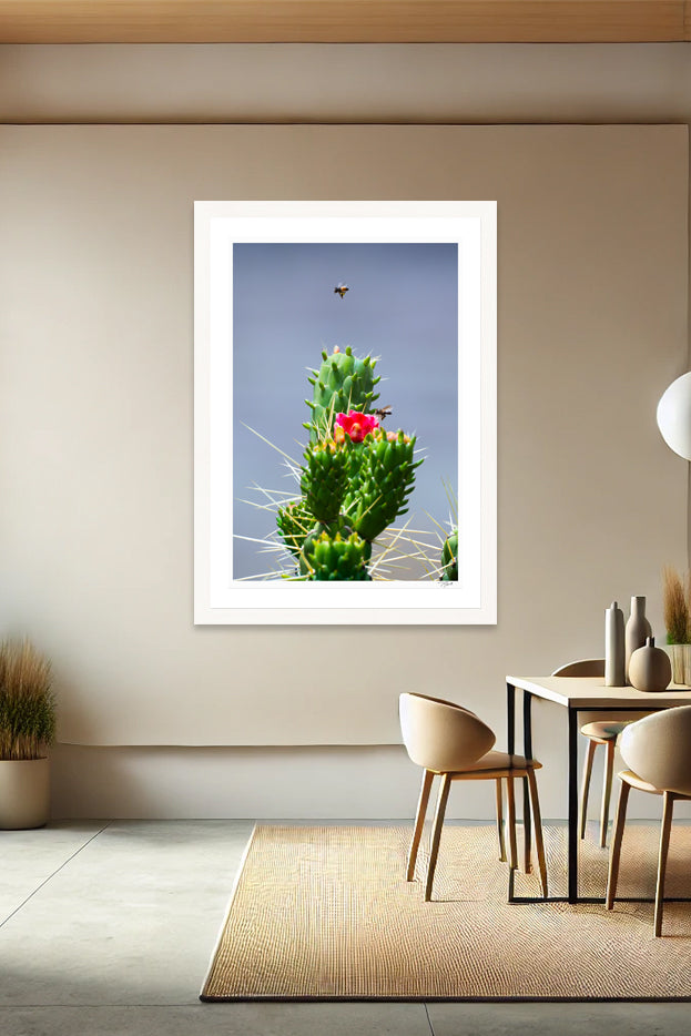 Cholla Nectar