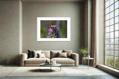 Bee Bloom
