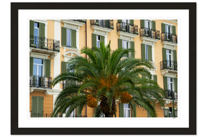 Palm Presence
