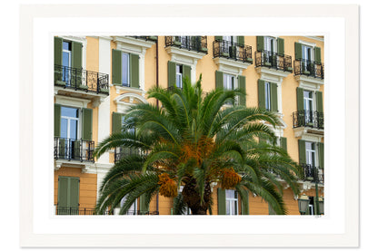 Palm Presence