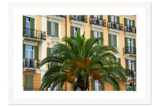 Palm Presence