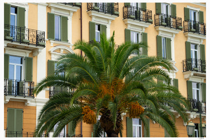 Palm Presence