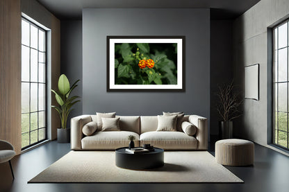 Lantana Bloom