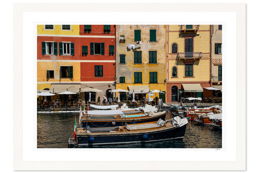 Harbor Hues
