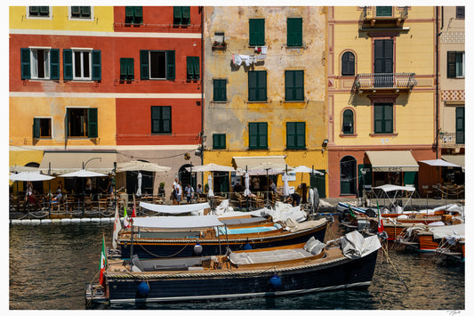 Harbor Hues