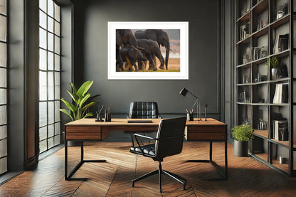 Elephant Family