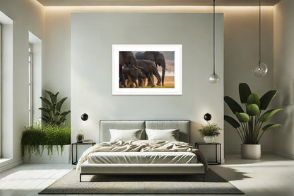 Elephant Family