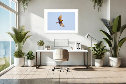 White-Fronted Bee-Eater