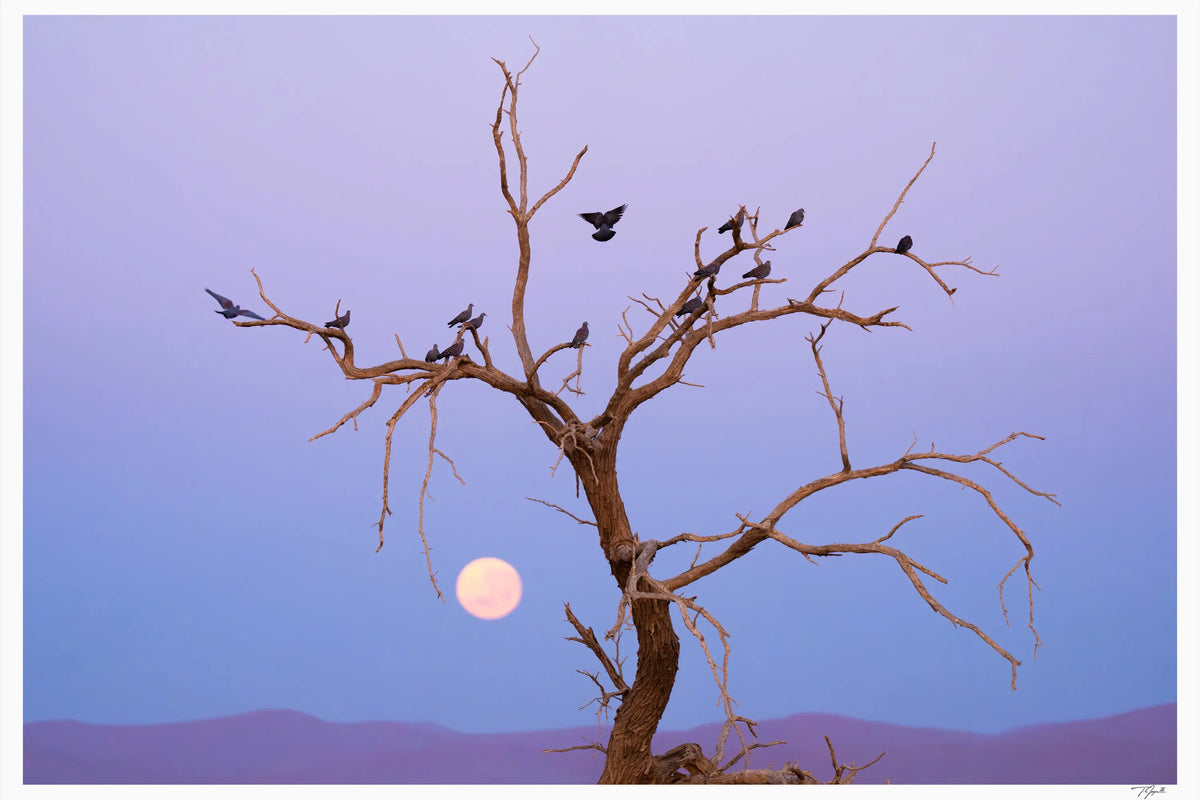 Blue Moonrise | Landscape Fine Art Photography Framed Print 